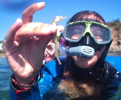 Snorkeling special moments 2020 г.