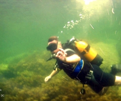 Diving in Varvara 2020